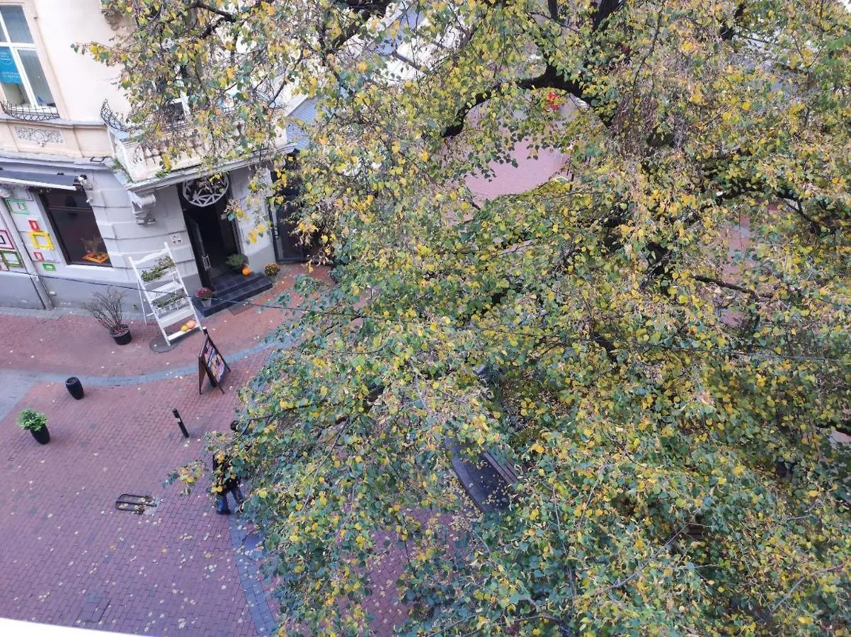 Homestay Rooms In The Center Of Lviv Ukraine